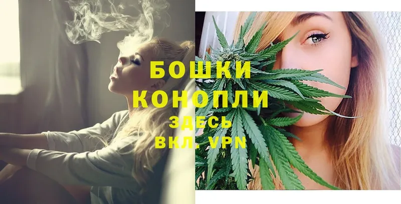 Бошки марихуана SATIVA & INDICA  Камбарка 